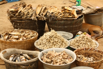 baskets_of_dried_fish